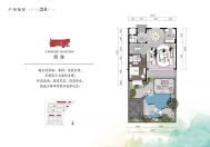 6室4厅7卫1厨