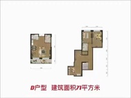 国博V墅D户型