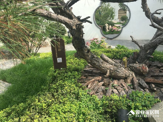 融创·建荣松江宸院